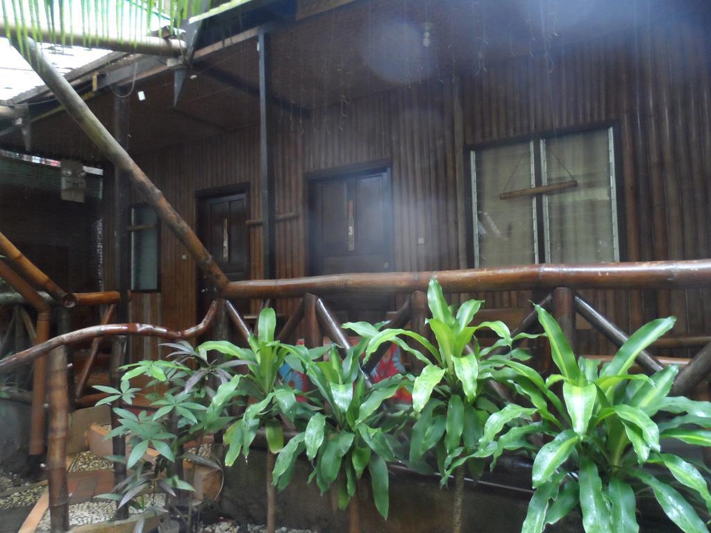 פורטו פרינססה Victoria Guest House And Cottages מראה חיצוני תמונה