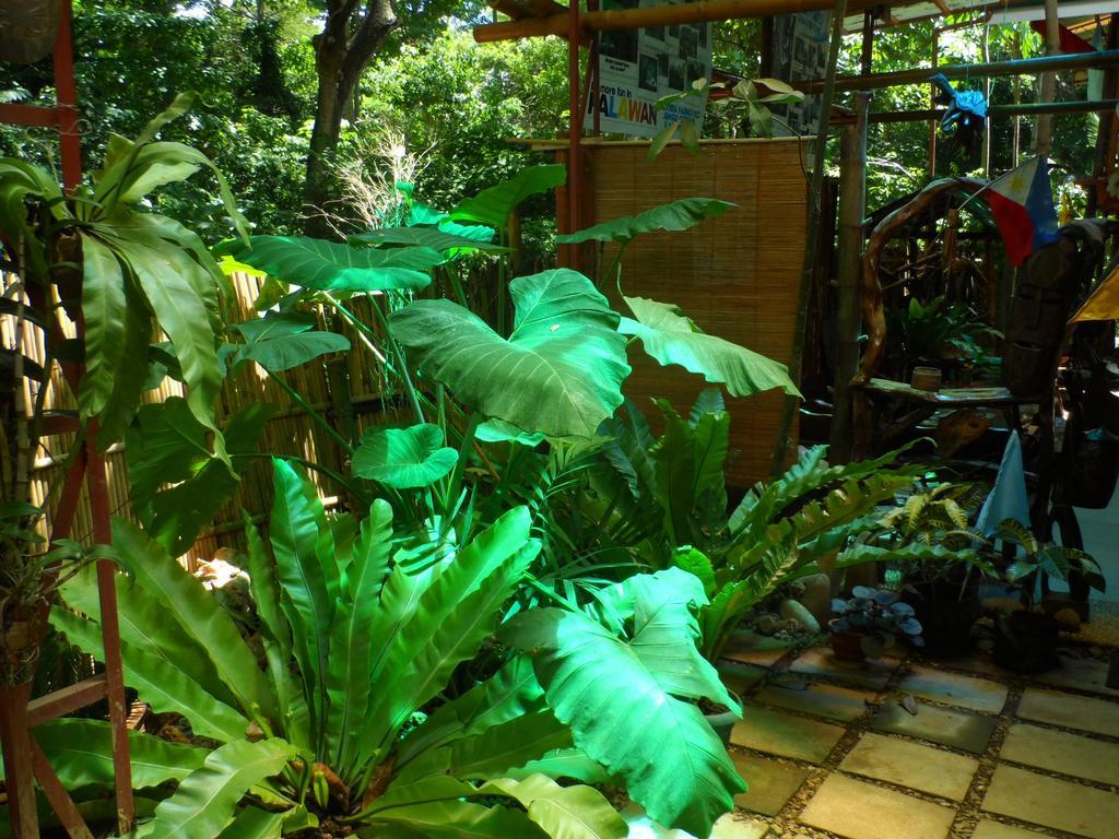 פורטו פרינססה Victoria Guest House And Cottages מראה חיצוני תמונה